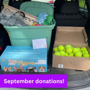 Home whatsapp image 2025 09 23 at 13.29.05 4408321a